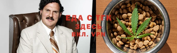 эйфоретик Алзамай