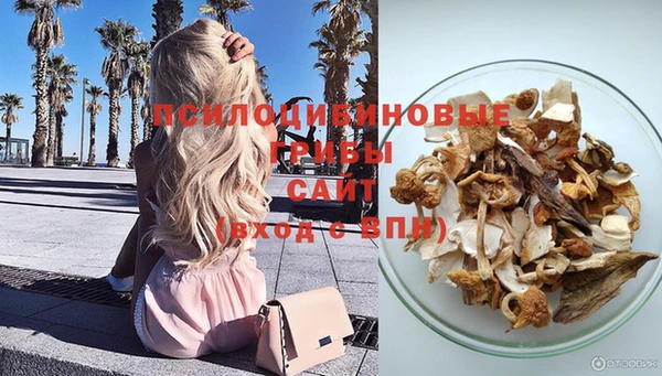 эйфоретик Алзамай