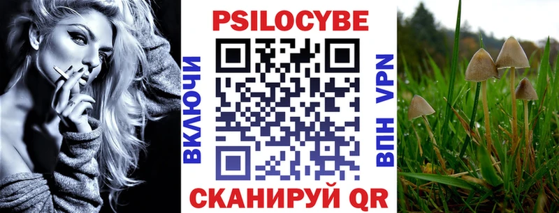 Галлюциногенные грибы Cubensis  кракен как зайти  Сельцо 